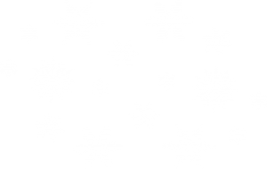 White snowflake PNG image-7591